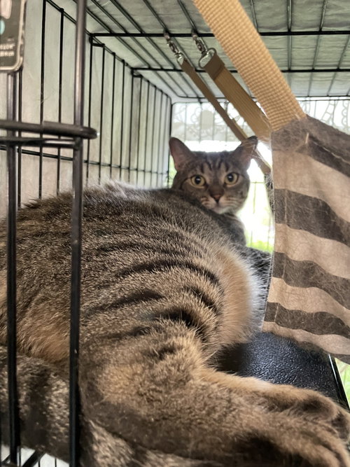 Photo 6 of Luna 3542