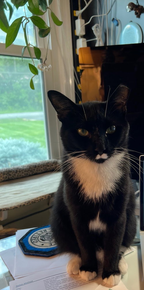 Tux 8780