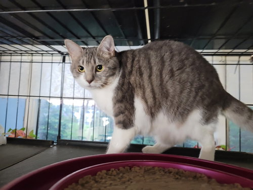 Photo 2 of Gretta 5604