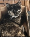 Teresa