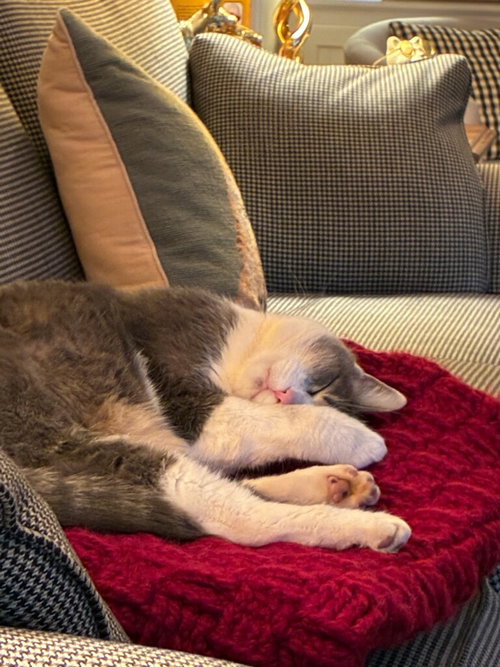 Photo 2 of Grady
