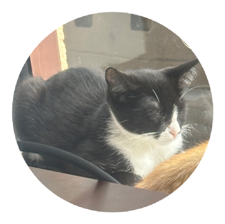 Luna 8440, Tuxedo