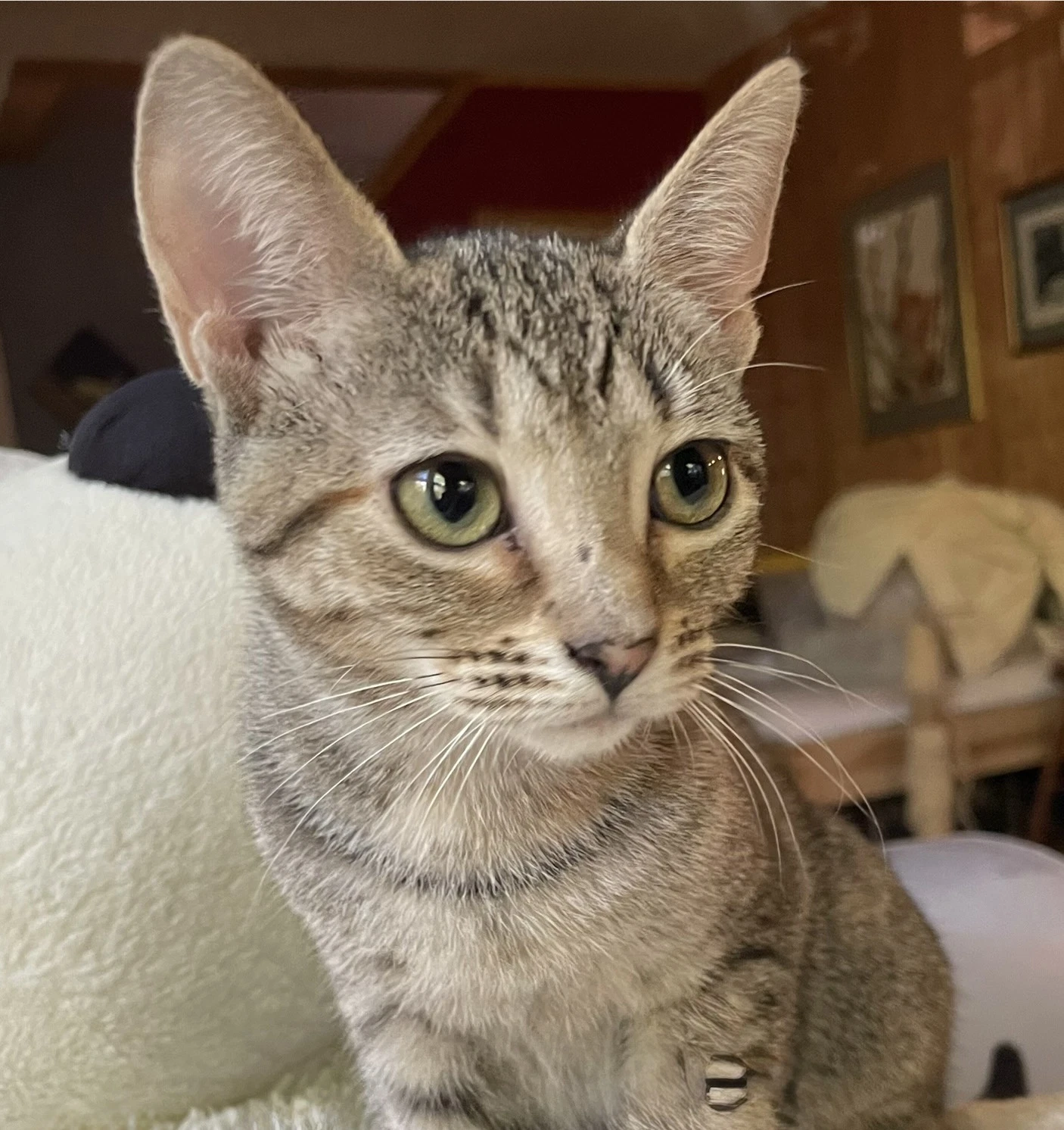 Tina