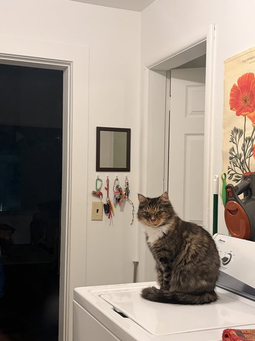 Photo of Mama