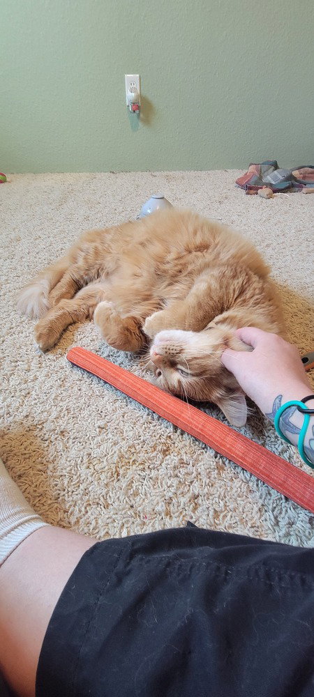 Photo of Punkin