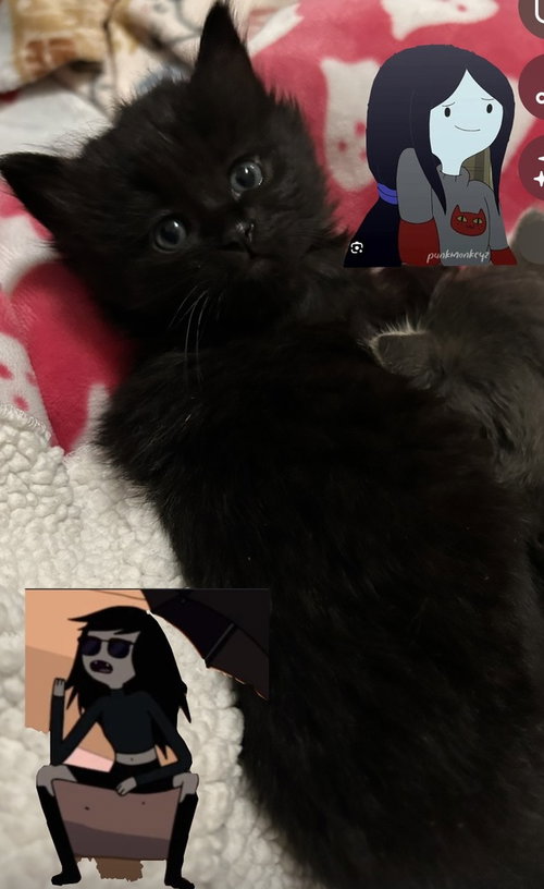 Marceline photo 3