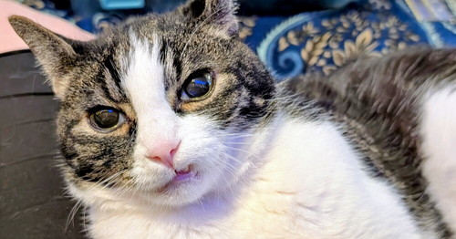 Photo of Charlie