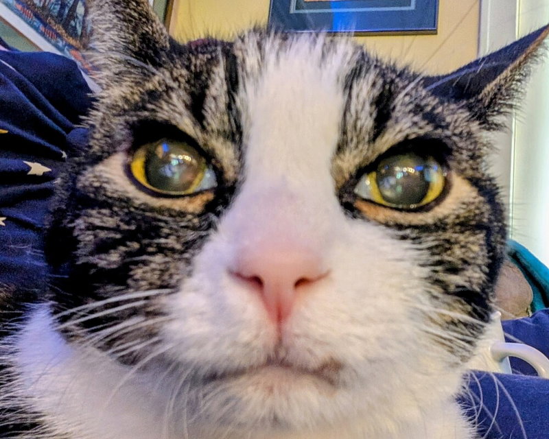 Charlie, photo 2