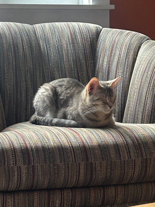 Luna photo 3