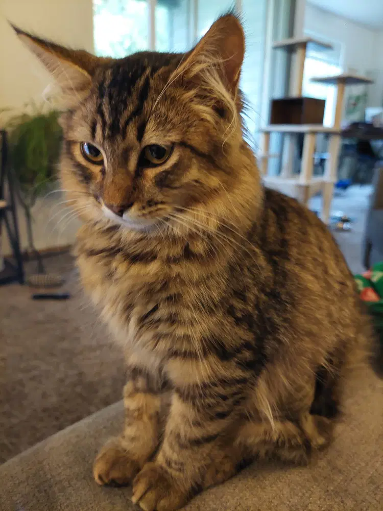 Roscoe image 2
