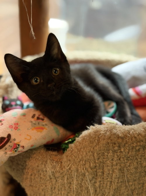 Photo 2 of Lucky
