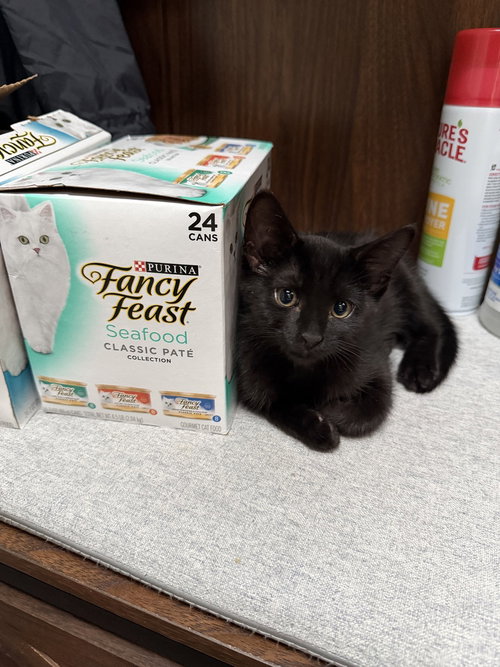 Photo 3 of Lucky