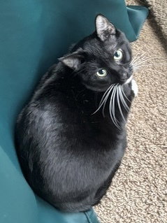 Photo of Jack