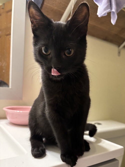 Photo 2 of Jiji