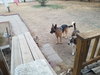Stoney - Photo 8