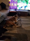 Stoney - Photo 9