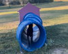 Possum - Photo 8