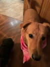 Gail - Photo 3
