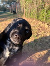 Vino - Photo 2