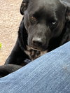 Vino - Photo 4