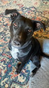 Cutie - Photo 5