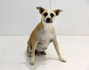 adoptable Dog in Weatherford, TX named Miley Mae