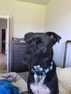 Tapper - Photo 4