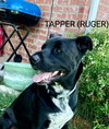 Tapper - Photo 3
