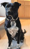 Tapper - Photo 2