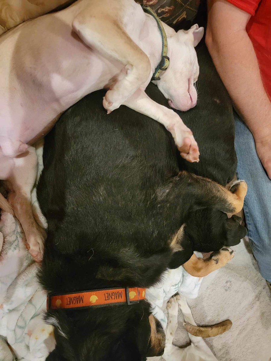 Roscoe
