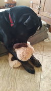 Marco - Photo 5