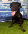 Marco - Photo 6