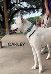 Oakley - Photo 4
