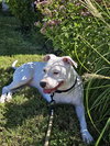 Gabby - Photo 4