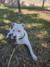 Gabby - Photo 9