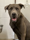 Zeus - Photo 6