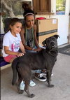 Zeus - Photo 11