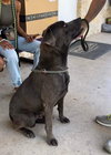 Zeus - Photo 8