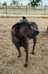 Zeus - Photo 13