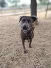 Zeus - Photo 14