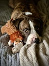 Jona - Photo 4