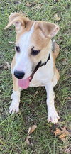 Daisy - Photo 7