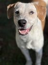 Tanner - Photo 2