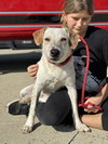 Tanner - Photo 3