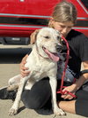 Tanner - Photo 5