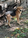 Ruffian - Photo 3