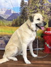 Journey - Photo 3
