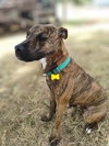 Mr. Wiggles - Photo 3