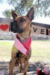 HECTOR - Photo 8