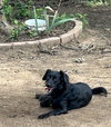 Lillian - Photo 3